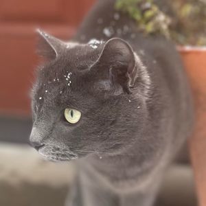 Meet your Posher, Jael